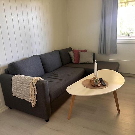 Studio Apartment In The Center Of Alta Exteriér fotografie